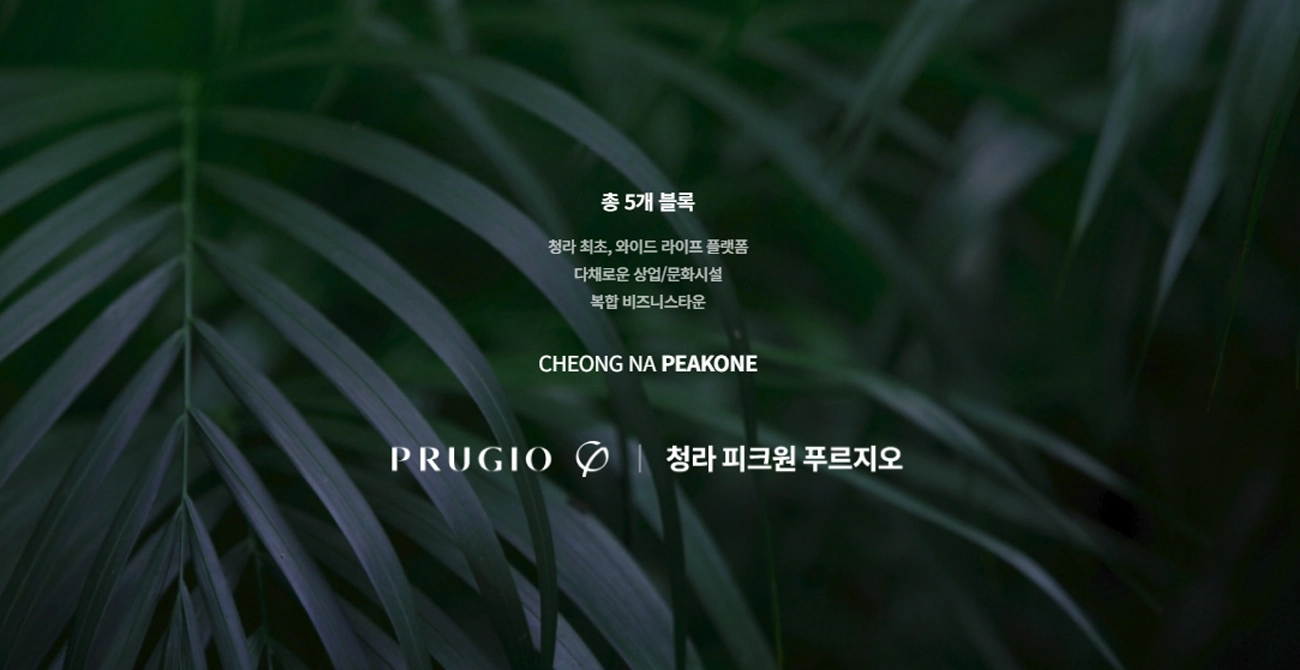 사업개요